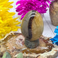 Septarian Egg
