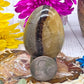 Septarian Egg