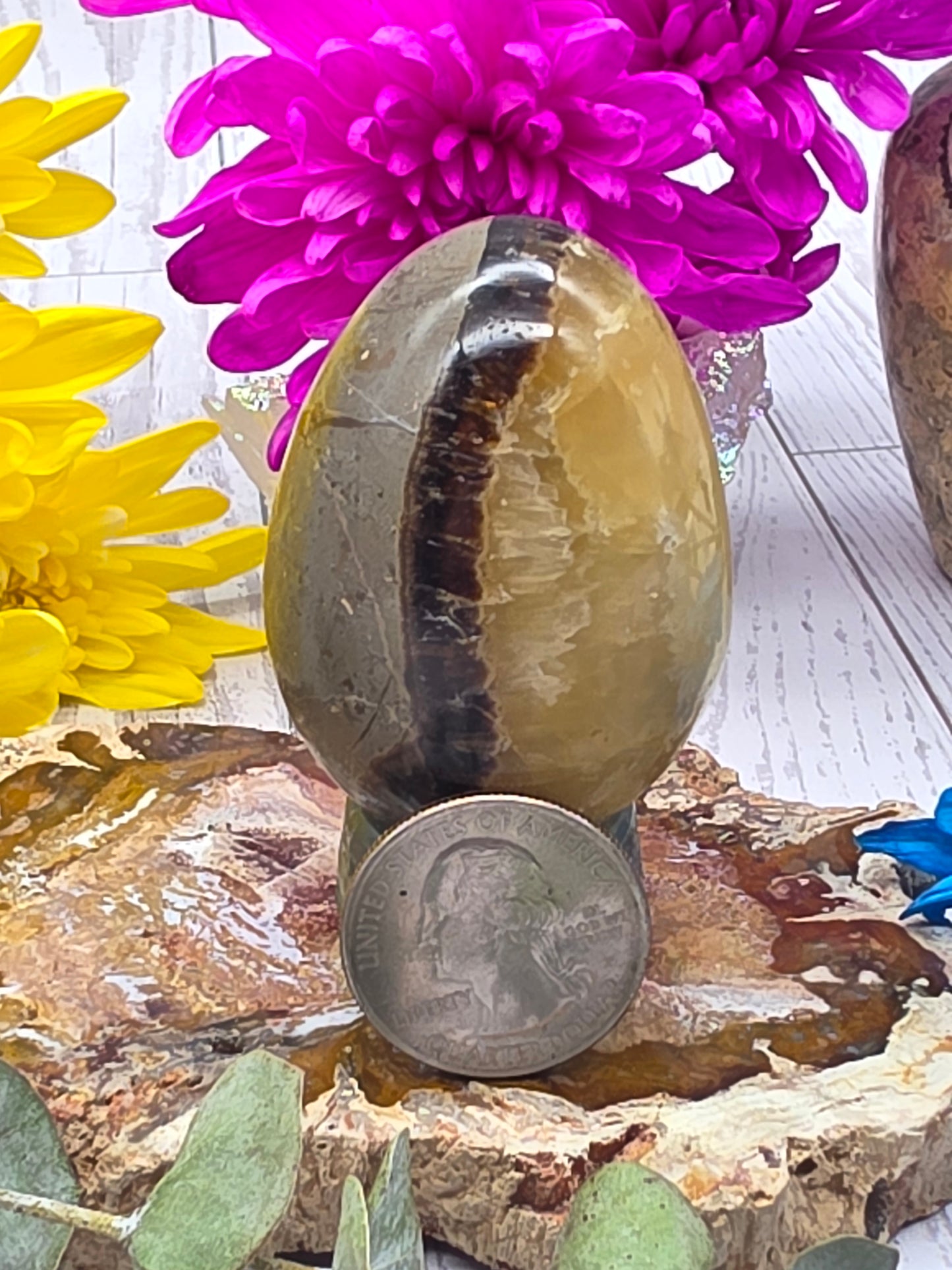 Septarian Egg