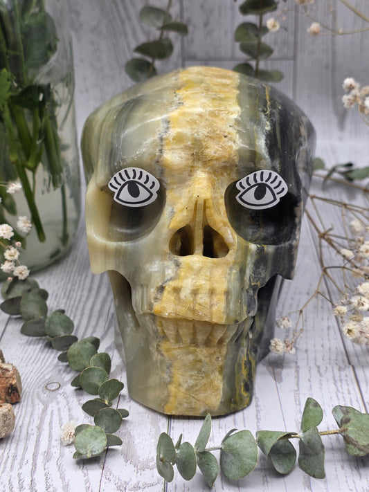 Bumblebee Jasper Skull