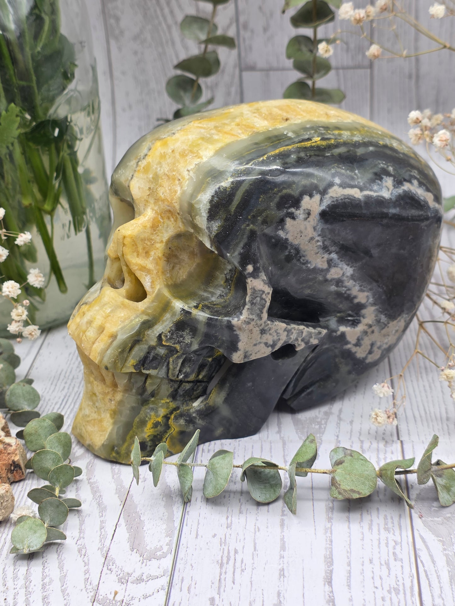 Bumblebee Jasper Skull