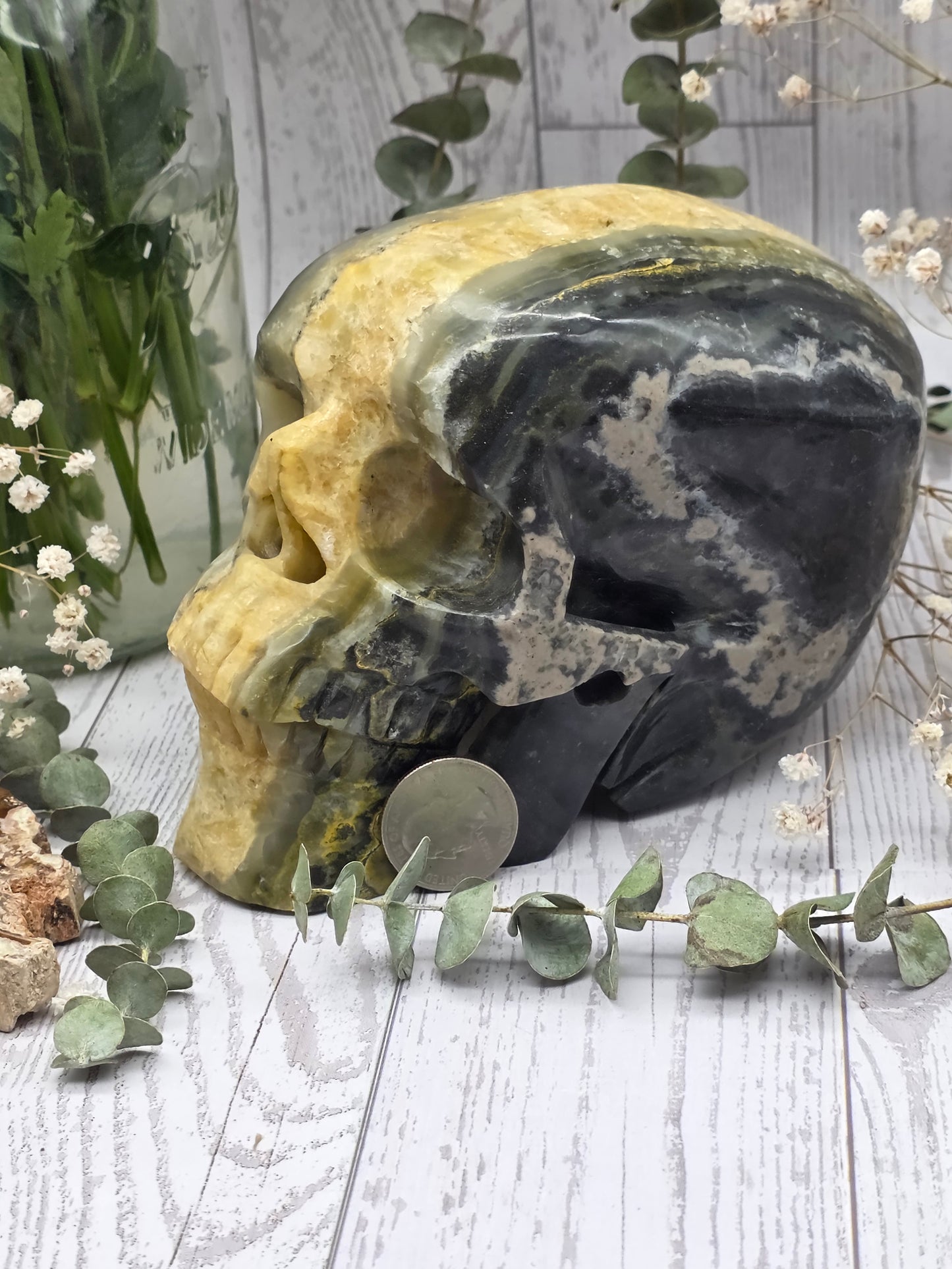 Bumblebee Jasper Skull