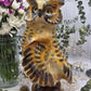 Hand Carved Selenite Owl Figurine