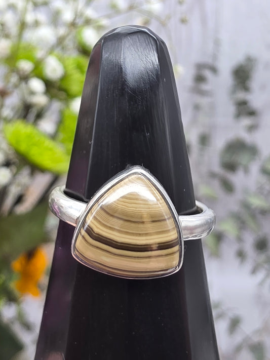 Schalenblende Ring