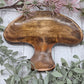 Wood mushroom dish on a decorative background