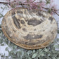 Petrified wood plate with brown and beige tones