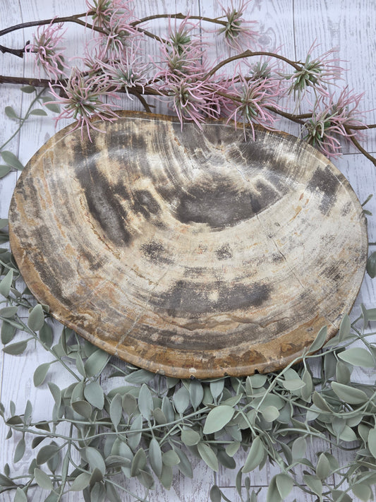 Petrified Wood Plate