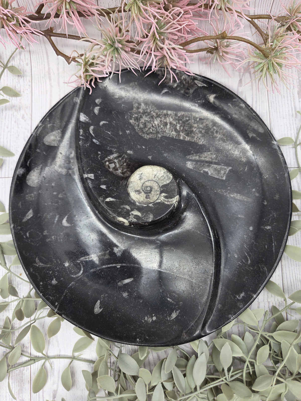 Orthoceras divided dish with fossil patterns