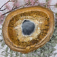 Fossilized bamboo bowl with brown and black colors