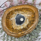 Fossilized Bamboo Bowl