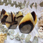 Polished septarian flames with yellow and brown patterns