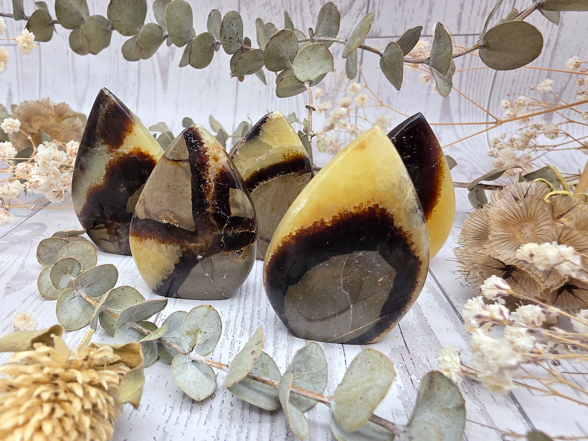 Polished septarian flames with yellow and brown patterns