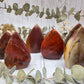 Petrified wood flames with polished red and brown surfaces
