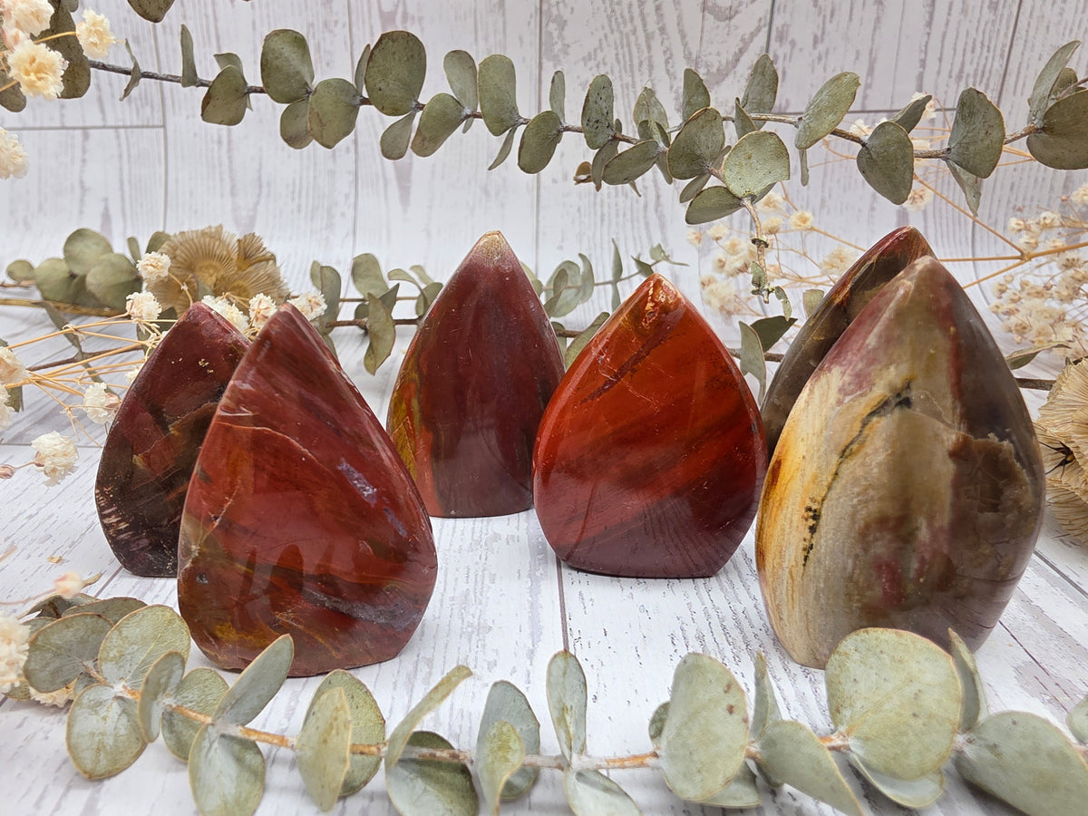 Petrified wood flames with polished red and brown surfaces