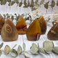 Peacock Agate Flames in various shades of brown and orange