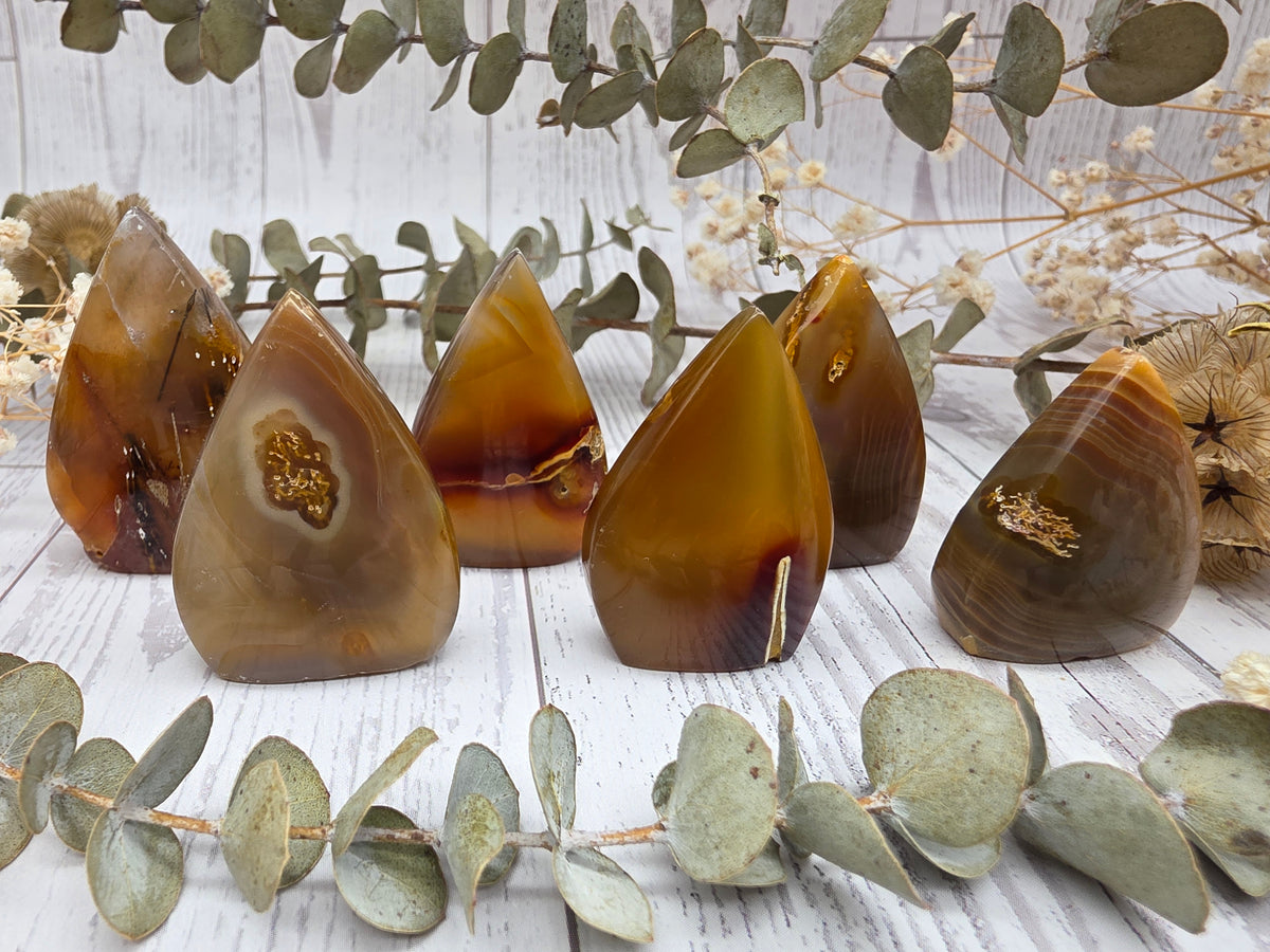 Peacock Agate Flames in various shades of brown and orange