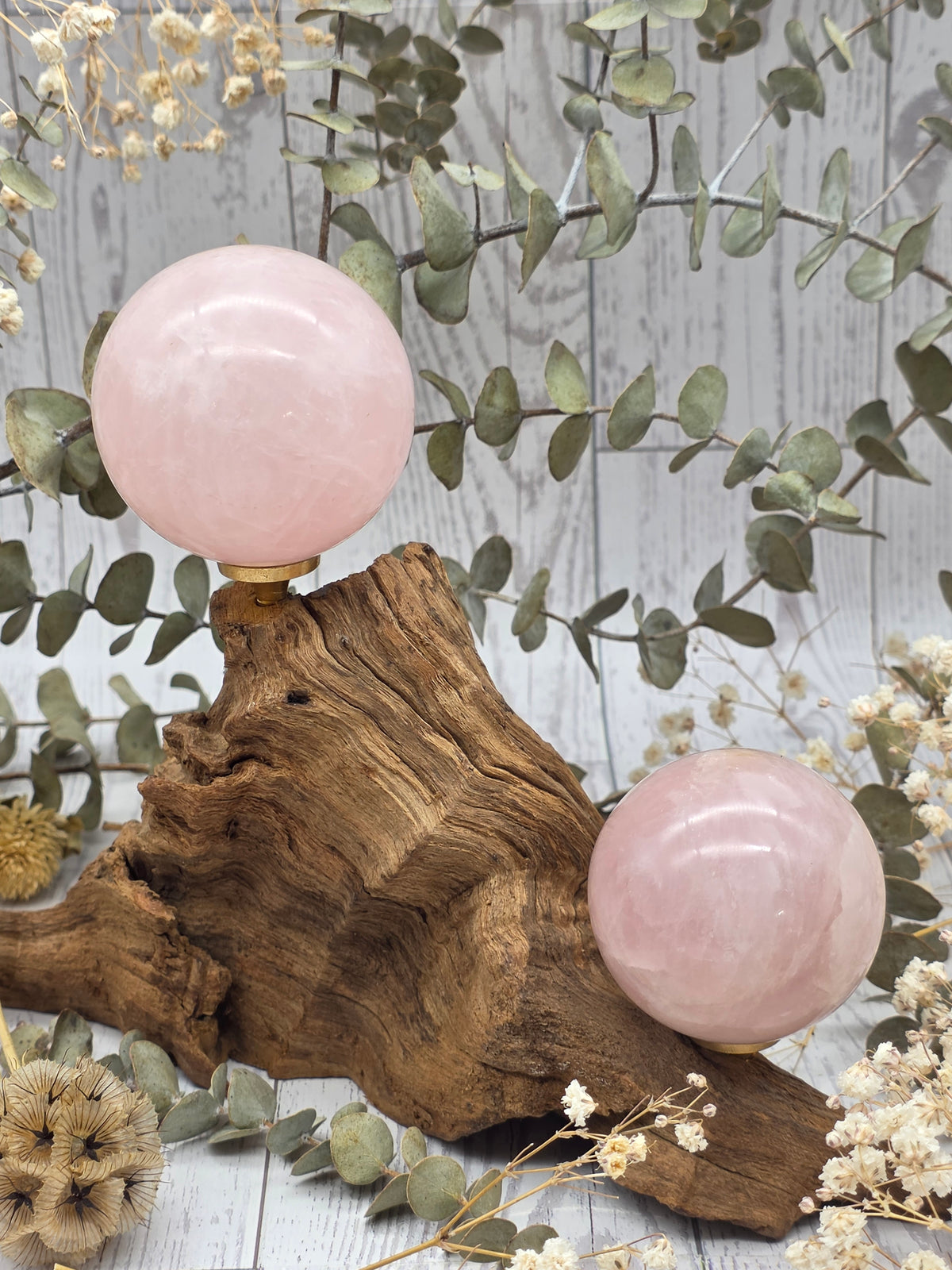 Medium polished rose quartz sphere on a wooden stand with decorative foliage.