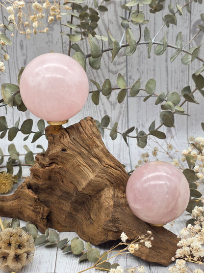 Medium polished rose quartz sphere on a wooden stand with decorative foliage.