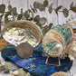 Mini Abalone Shell