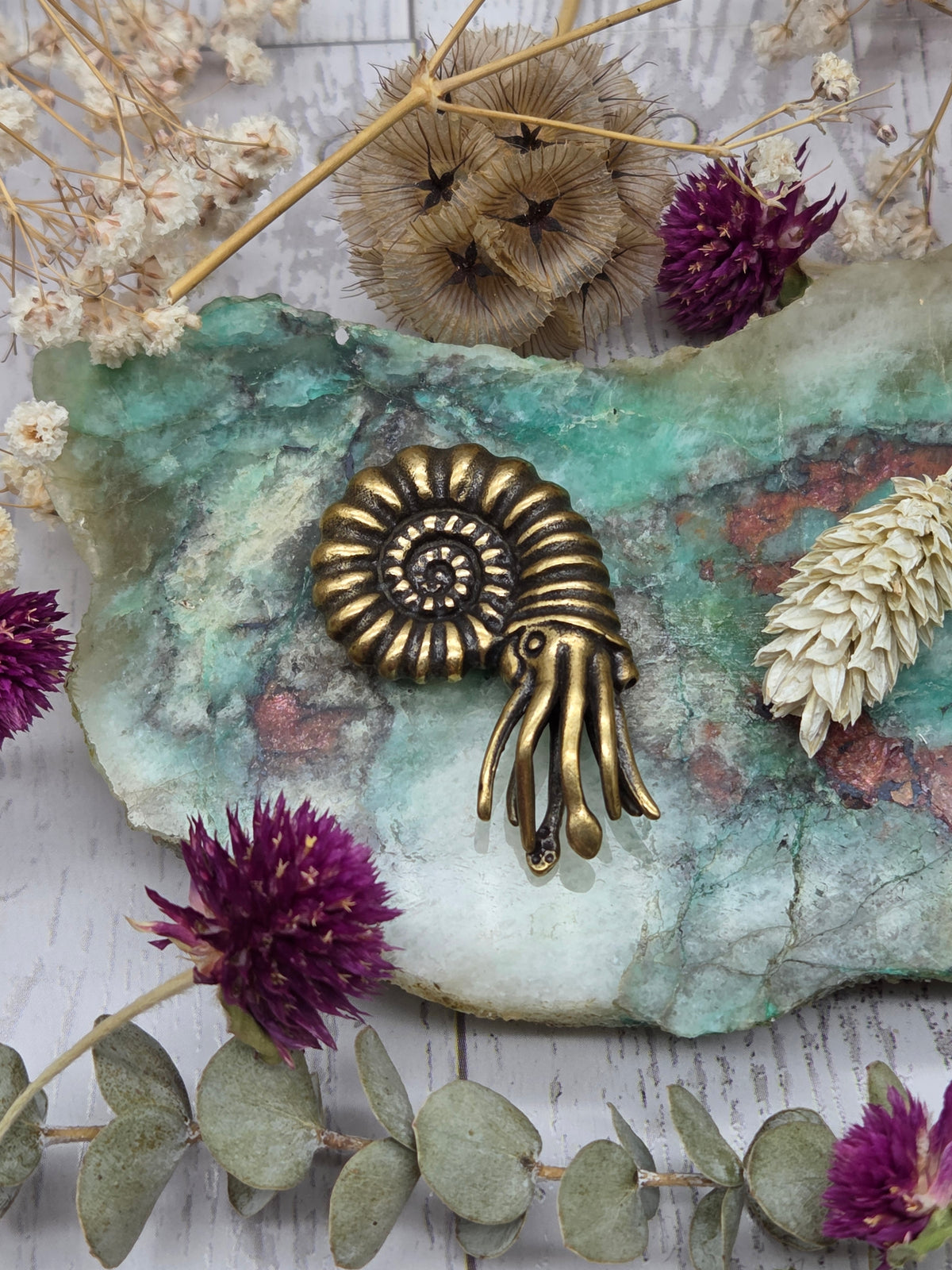 Brass nautilus figurine on a decorative background