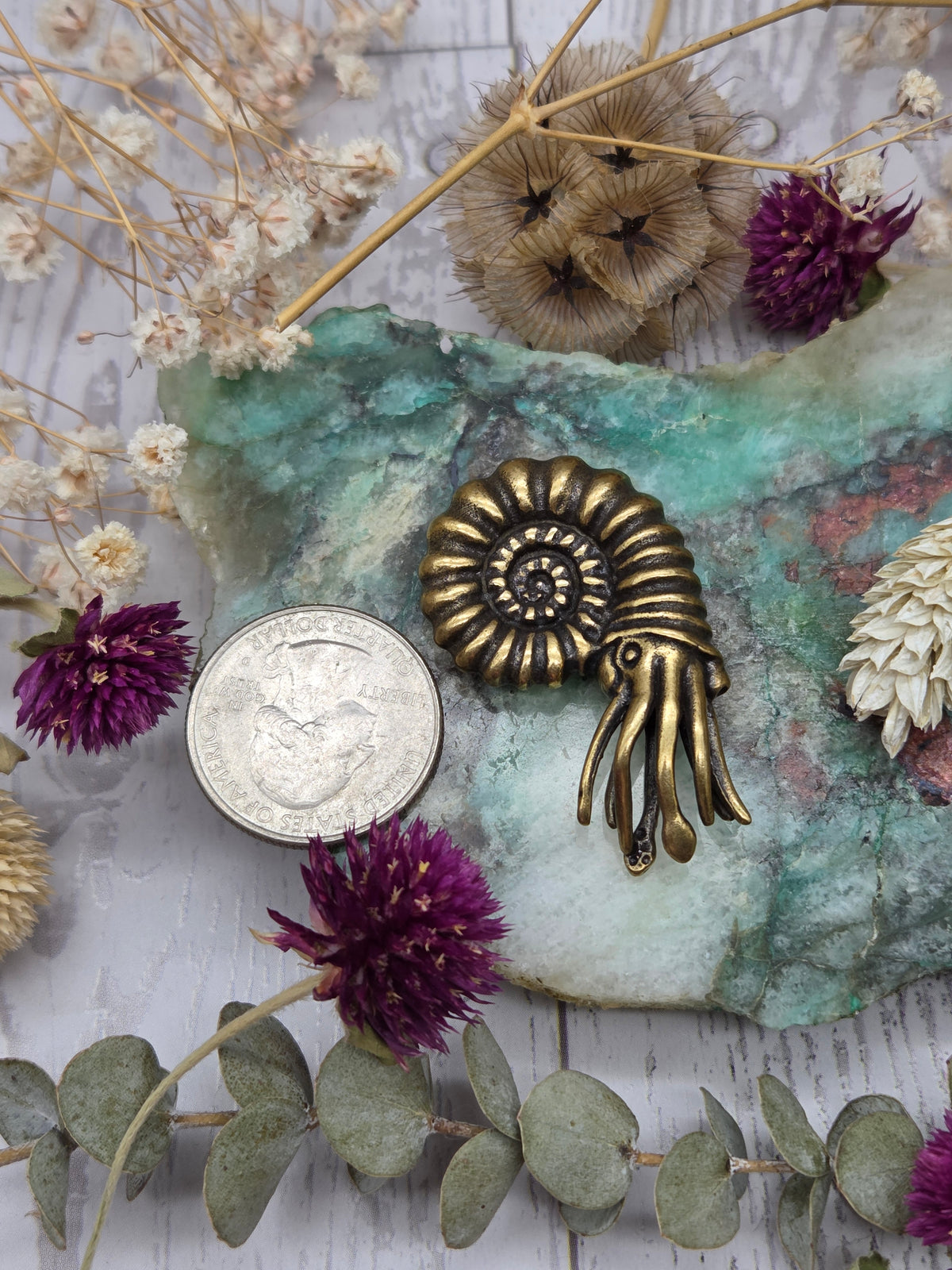 Brass Nautilus