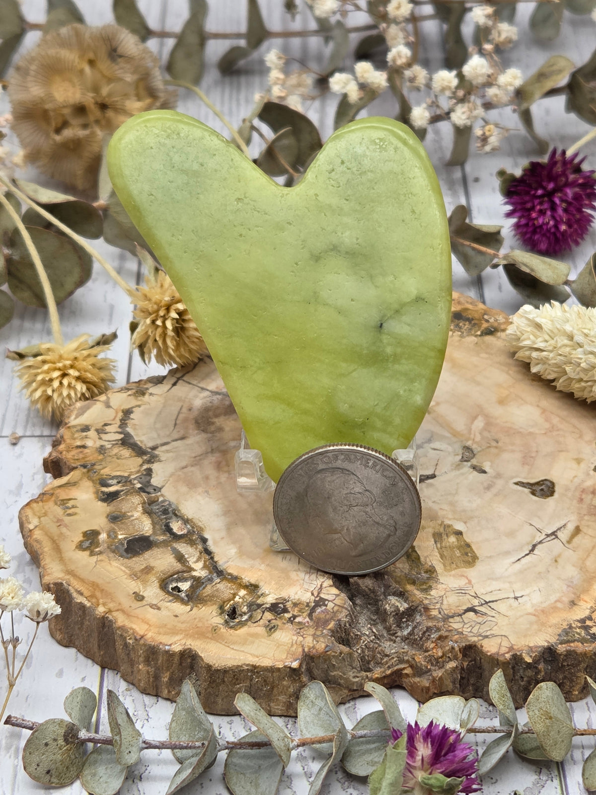 Serpentine Gua Sha