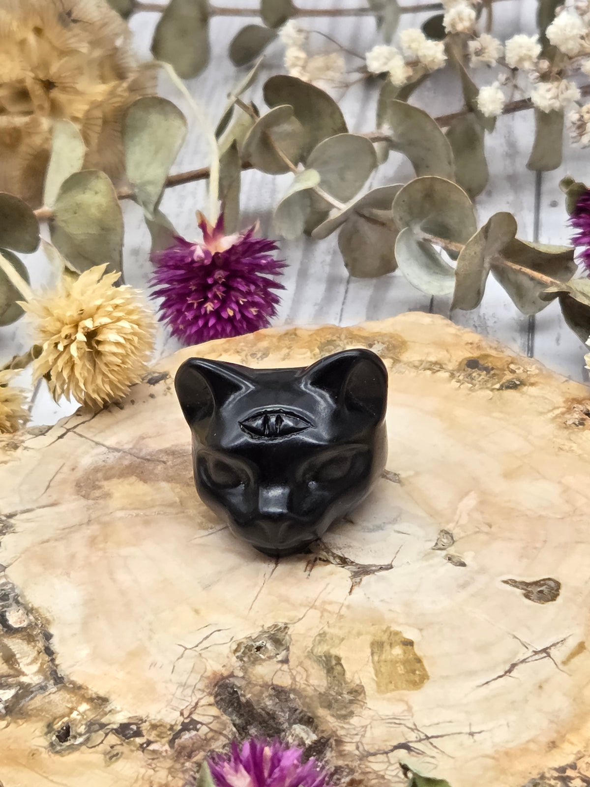 Obsidian cat head carving with third eye on a wooden surface
