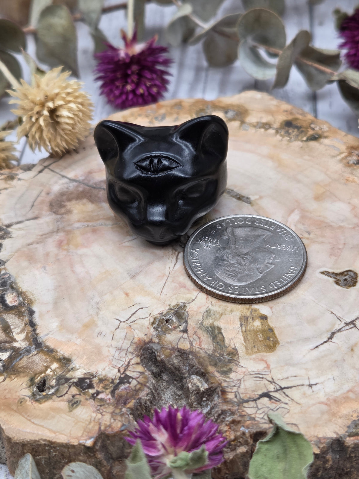 Obsidian Cat Head Carving