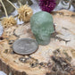 Fluorite Skull