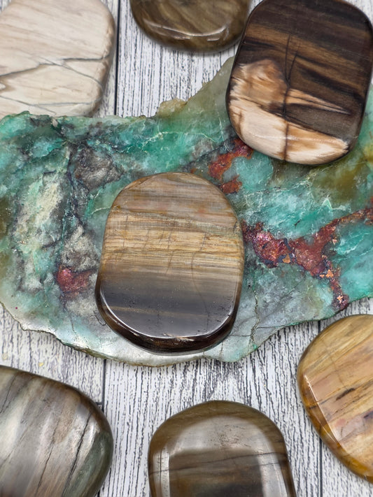 Petrified Wood Pocket Stone
