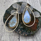 Teardrop Real Butterfly Hook Earrings