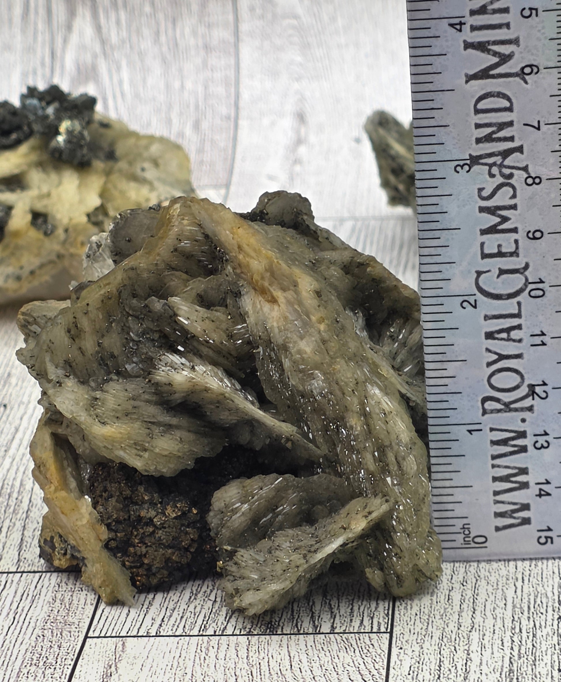 Barite with Pyrite Specimen - size reference