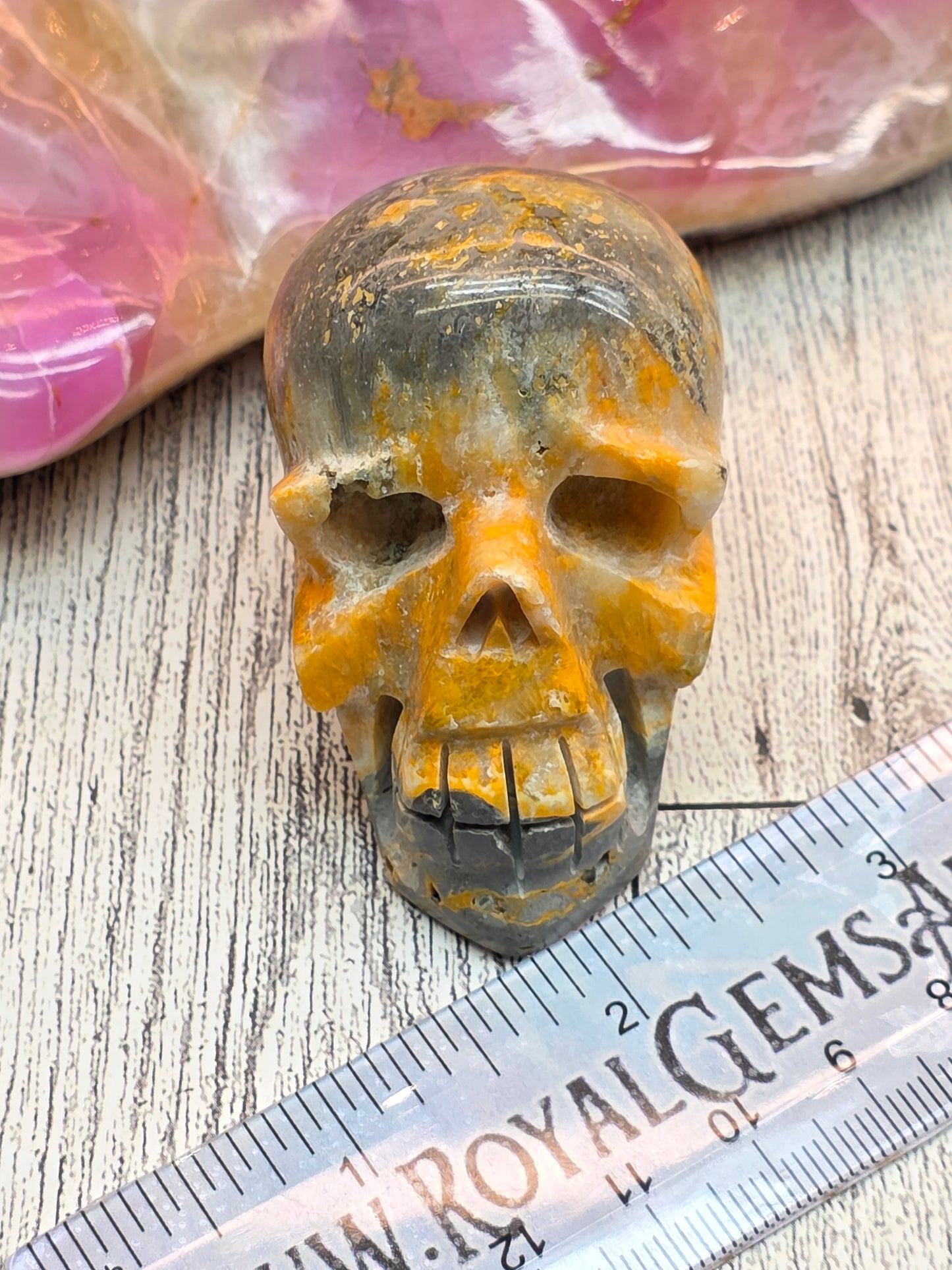 Bumble Bee Jasper Skull