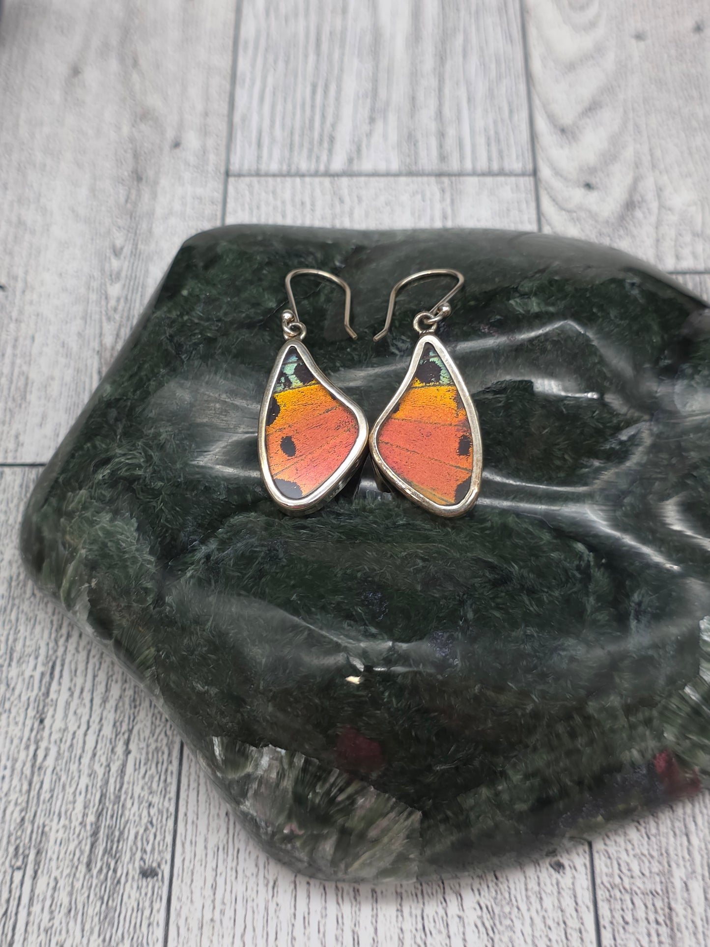 Real Butterfly Wing Earrings - detail shot