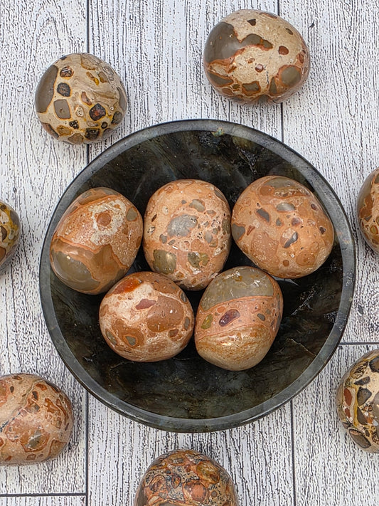 Leopard Skin Jasper