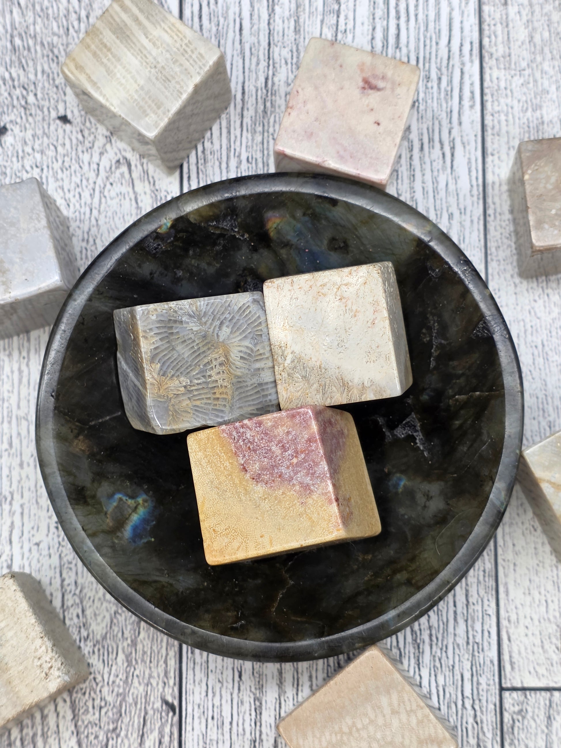 Fossilized Coral Cubes