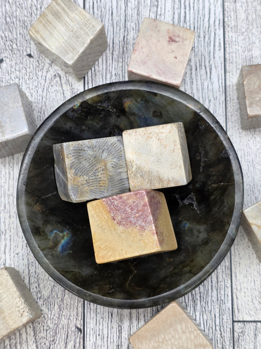 Fossilized Coral Cubes