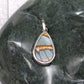 Real Butterfly Wing Pendant