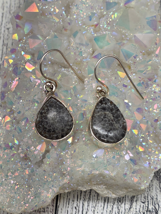 Fossilized Black Coral Teardrop Earrings