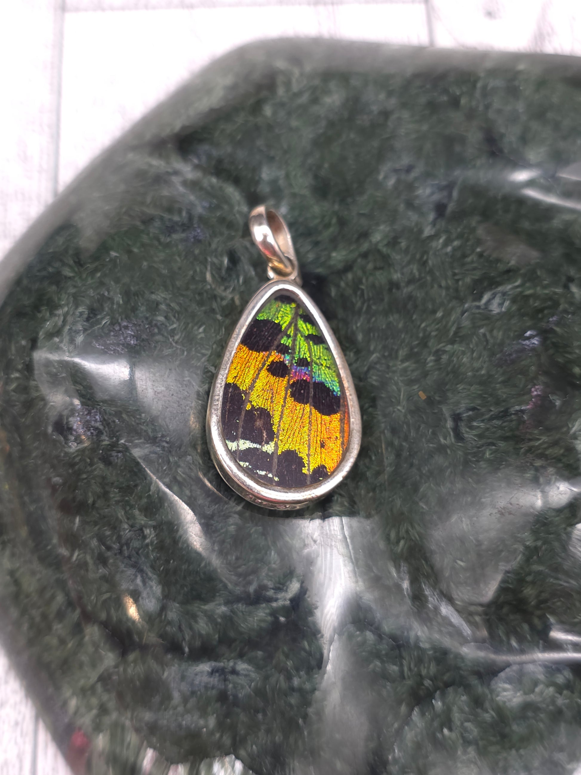 Real Butterfly Wing Pendant - detail shot