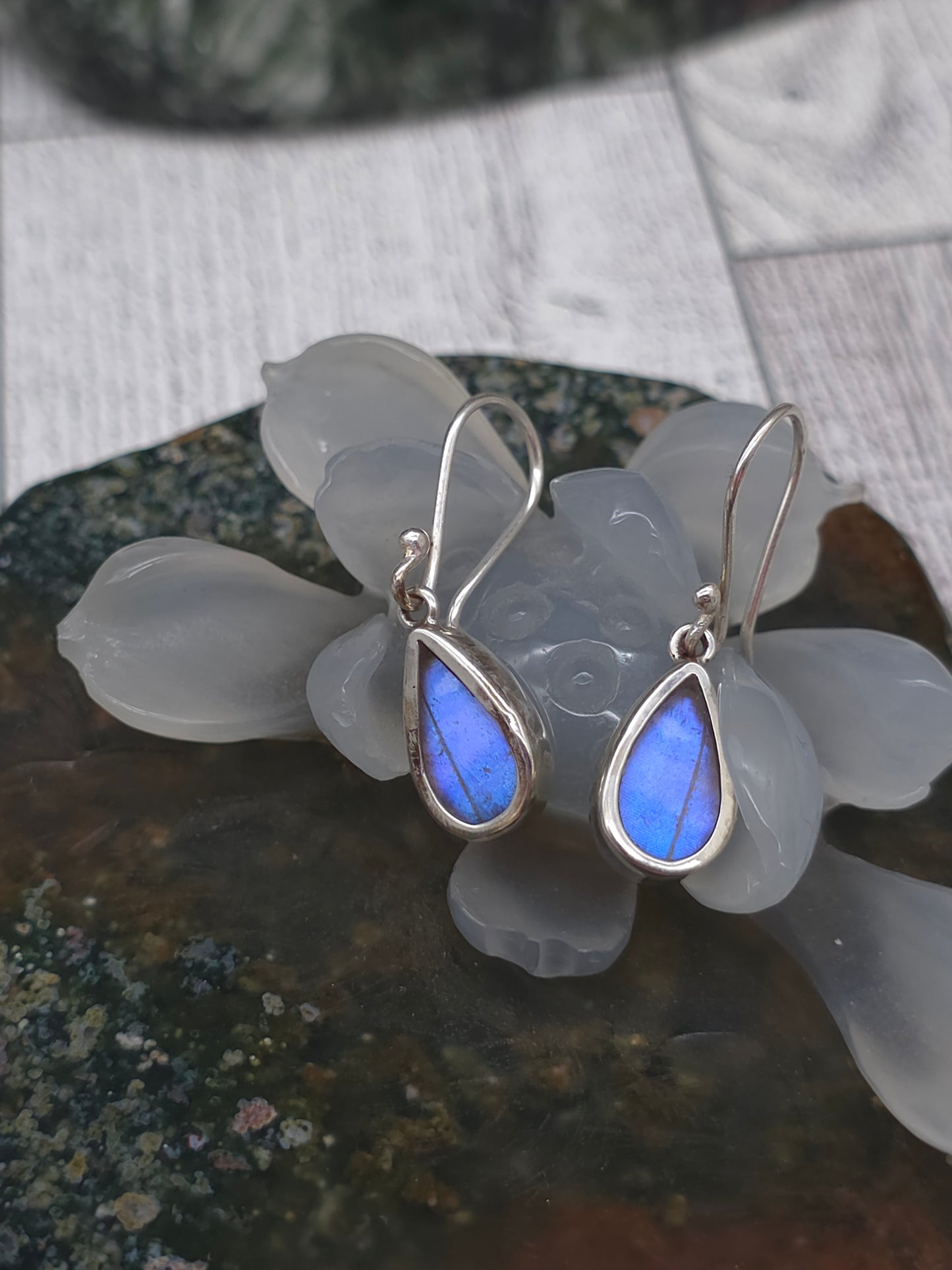 Dainty Butterfly Earrings