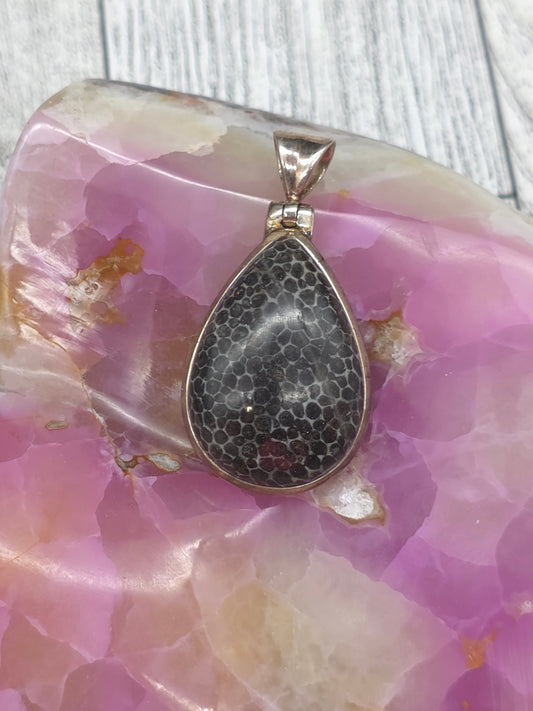 Fossilized Coral Pendant