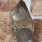 Smoky Quartz Skull with Crown Point