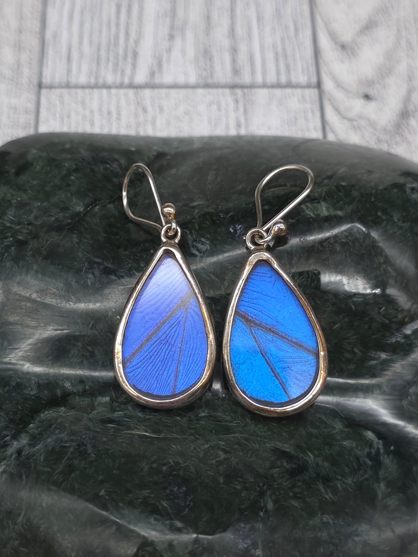 Real Butterfly Wing Earrings - alternate view