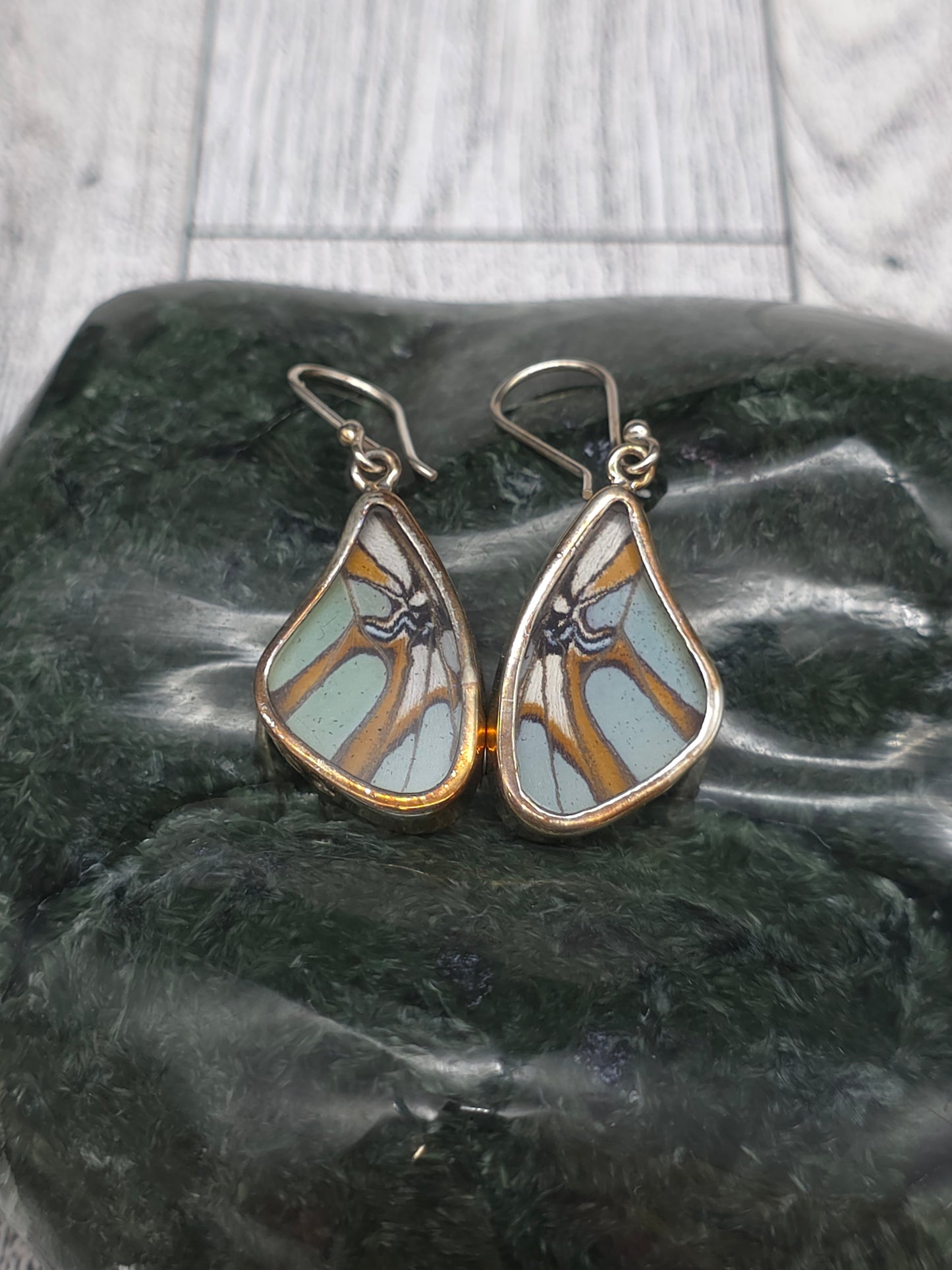 Real Butterfly Wing Earrings